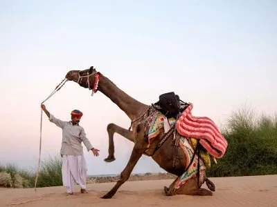 Desart Safari in Jaisalmer