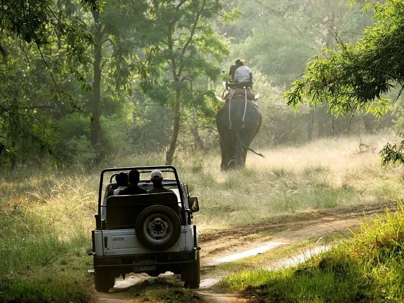 Taxi For Jaisalmer Tour